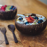 CocoBowlz™ Coconut Bowl Gift Set + Free Straw Bundle