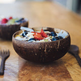 Coconut Shell Bowls Combo Set of 4 (2 Original, 2 Natural)