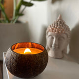 Ruby in Zoisite Crystal Coconut Candle (Spirituality)