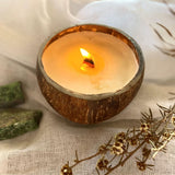 Black Tourmaline Crystal Coconut Candle (Protection)