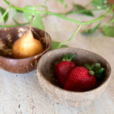 Coconut Shell Bowls + Palm Wood Forks Combo Set