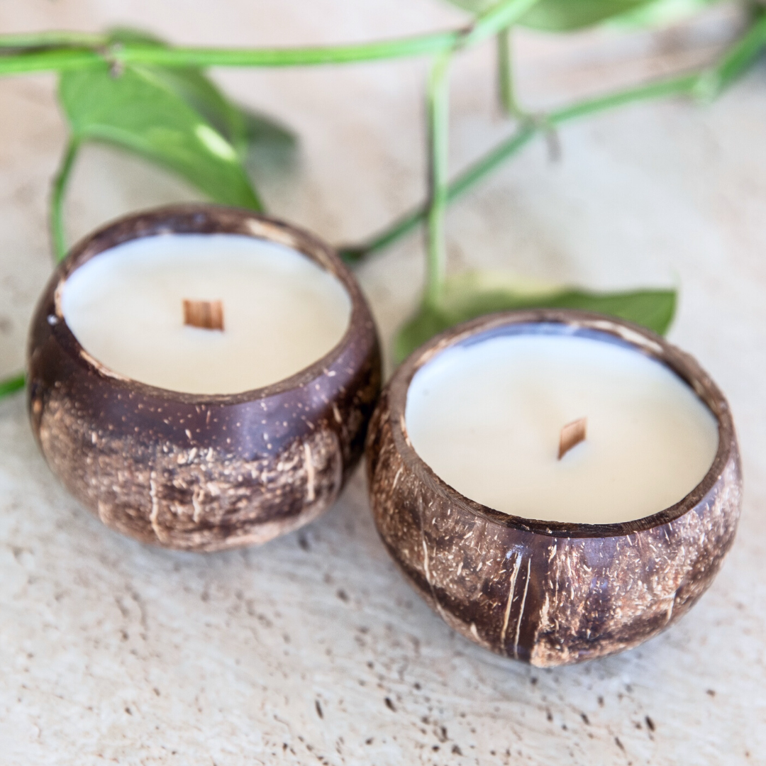 Coconut on sale shell candle